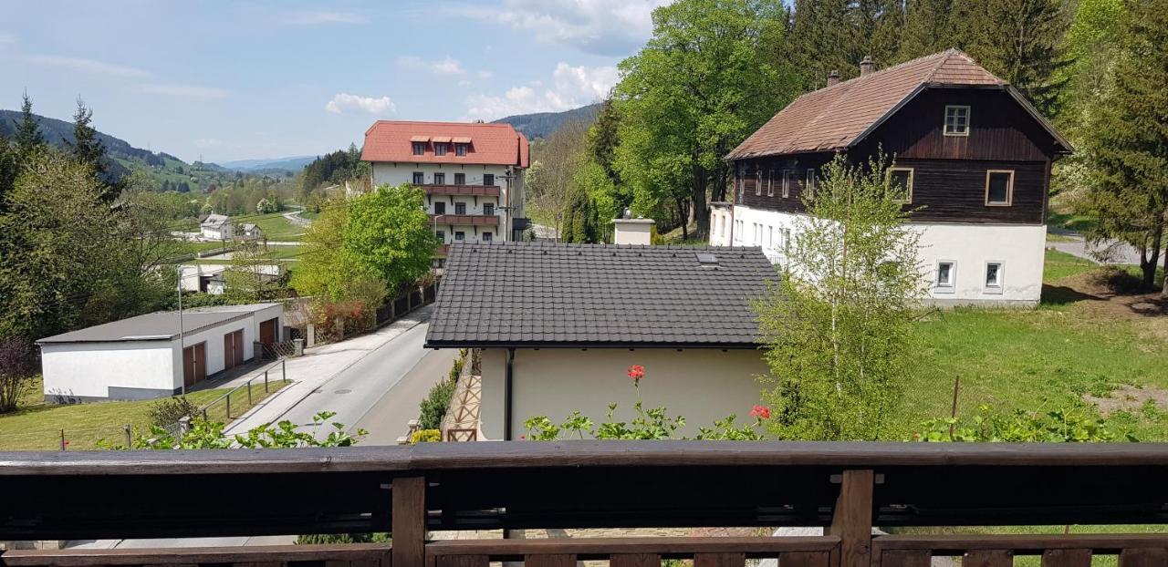 Haus Elena Am Semmering Steinhaus am Semmering Exterior photo